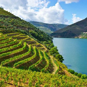 Vinogradi v dolini reke Douro na Portugalskem